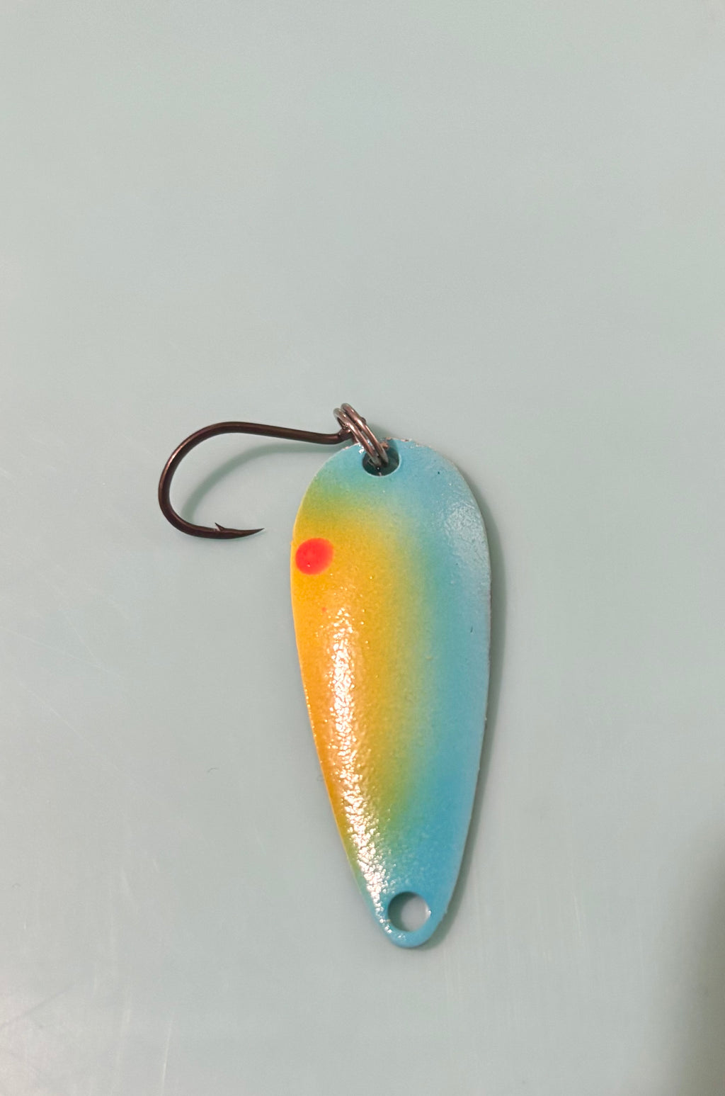 Sunrise mimosa